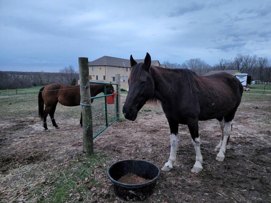 Deer Run Estate Llc Hotel Marshfield Kültér fotó